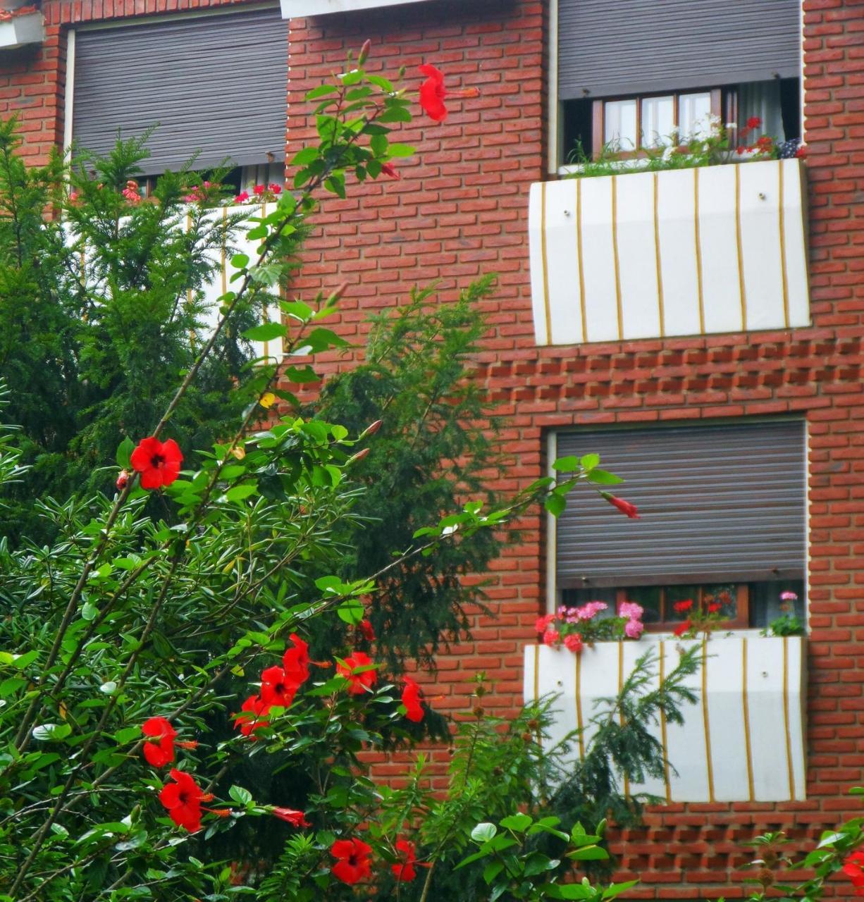 Hotel Eo Park San Clemente del Tuyú Buitenkant foto